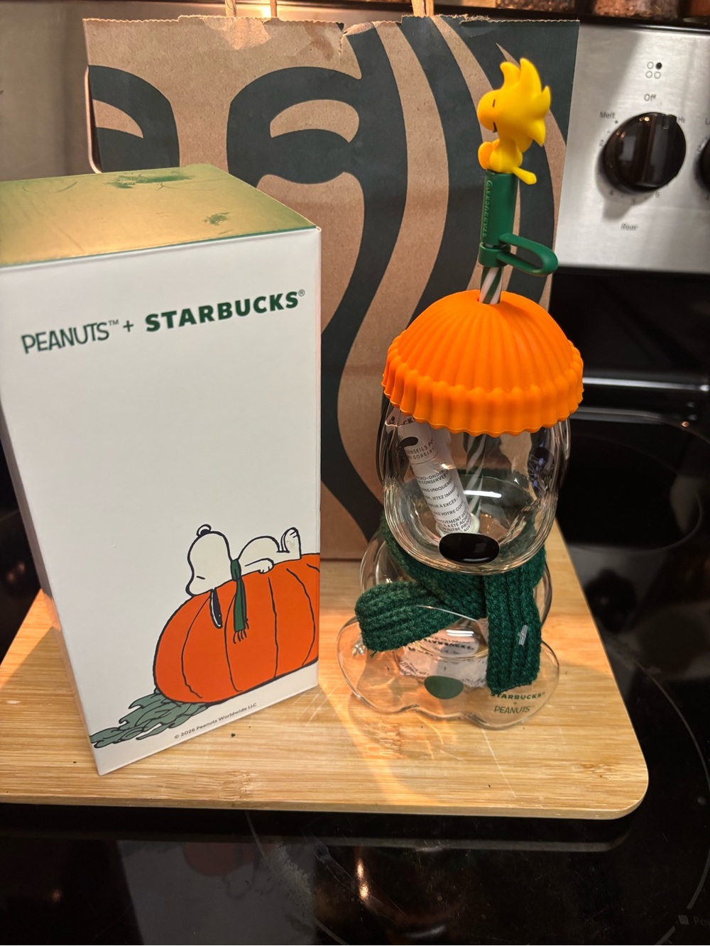 Starbucks Peanuts Orange Pumpkin Bear Glass Bottle with Green Scarf